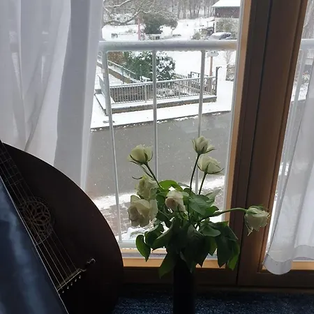 Appartement Gegenueber Der Muehle Kall